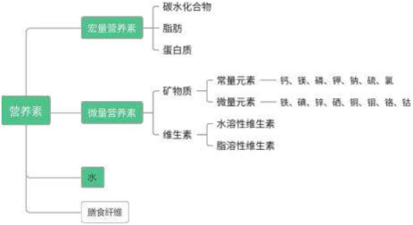 营养素分类.png